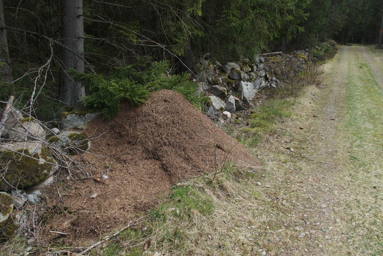 Skåneleden april 2015