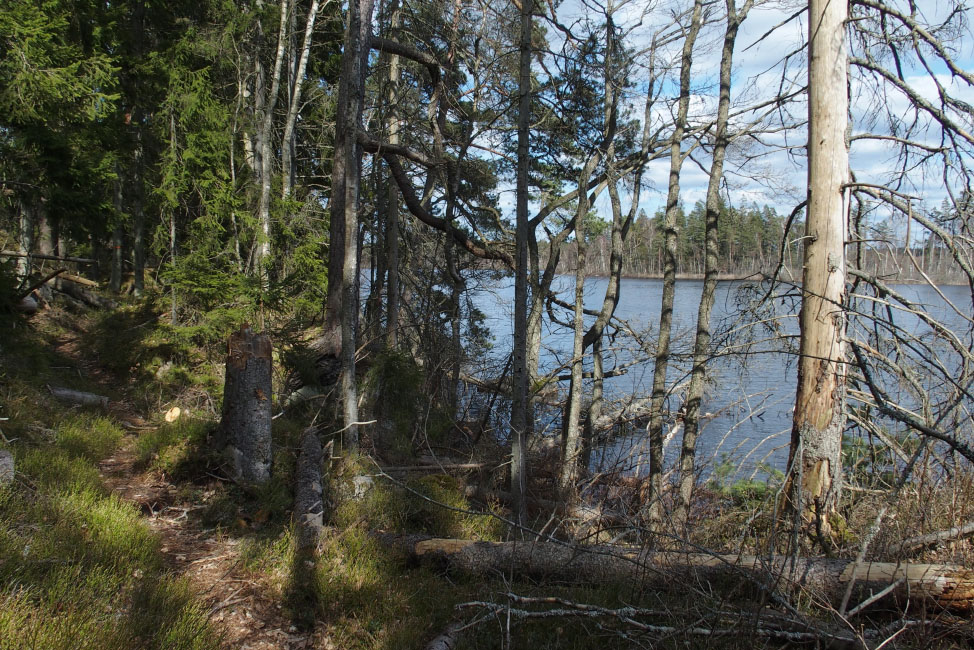 Skåneleden april 2015