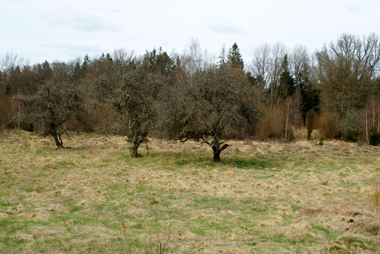        Skåneleden april 2015