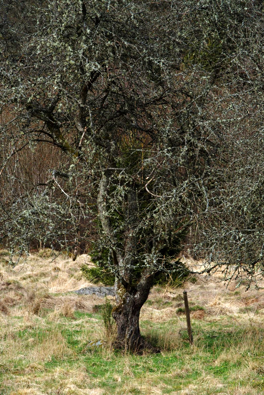         Skåneleden april 2015