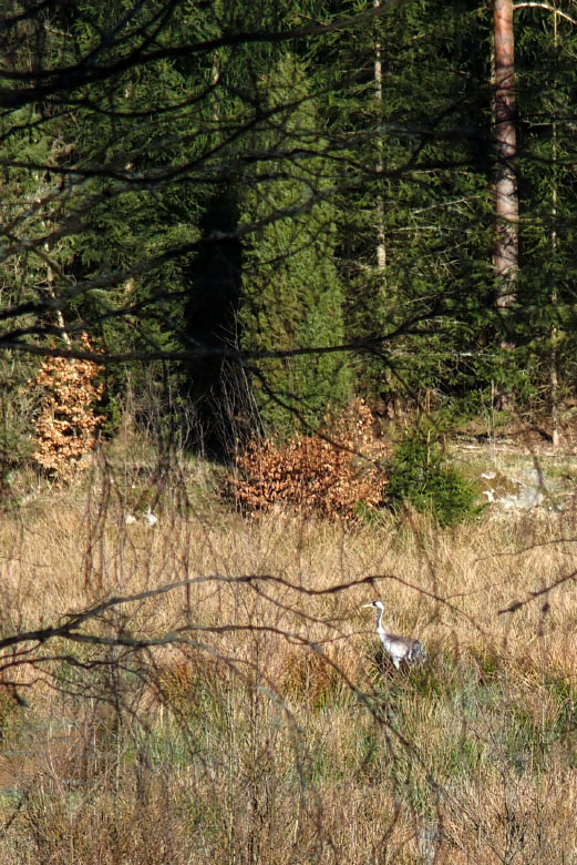         Skåneleden april 2015