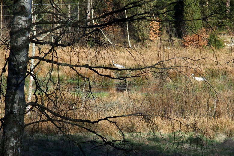         Skåneleden april 2015