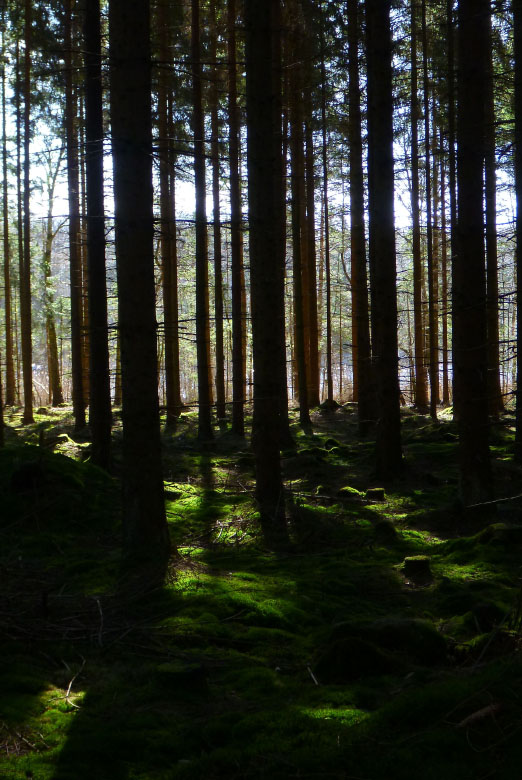         Skåneleden april 2015