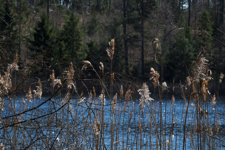         Skåneleden april 2015