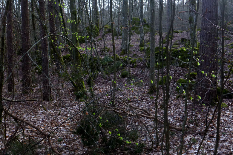         Skåneleden april 2015