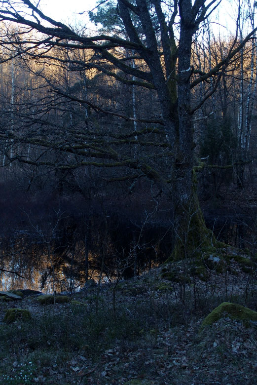         Skåneleden april 2015