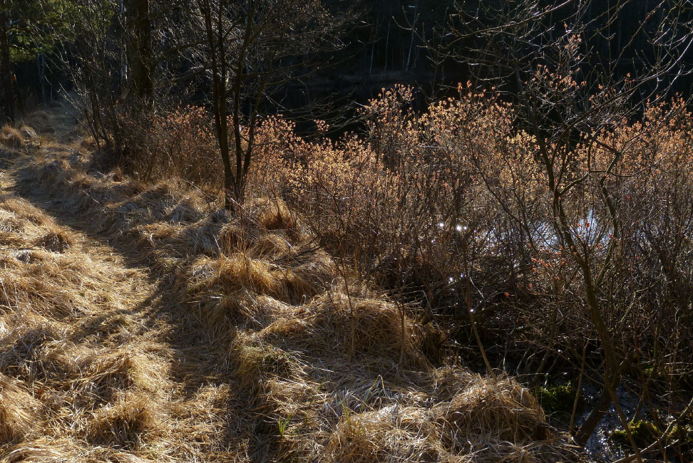         Skåneleden april 2015