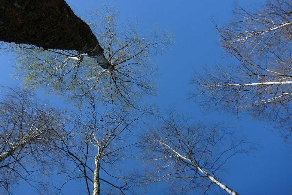         Skåneleden april 2015