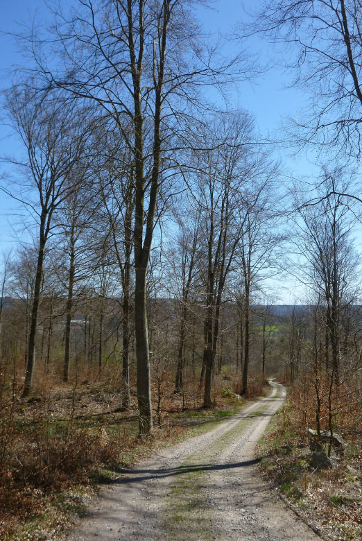         Skåneleden april 2015