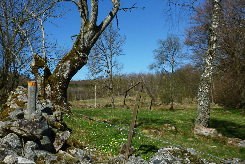         Skåneleden april 2015