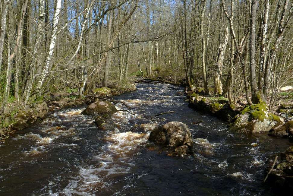         Skåneleden april 2015