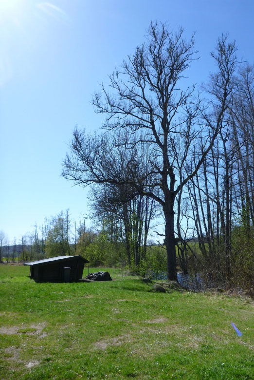         Skåneleden april 2015