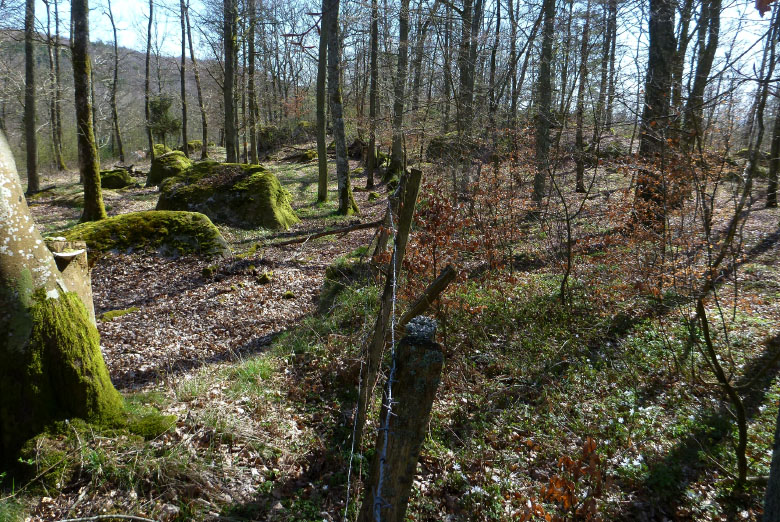        Skåneleden april 2015