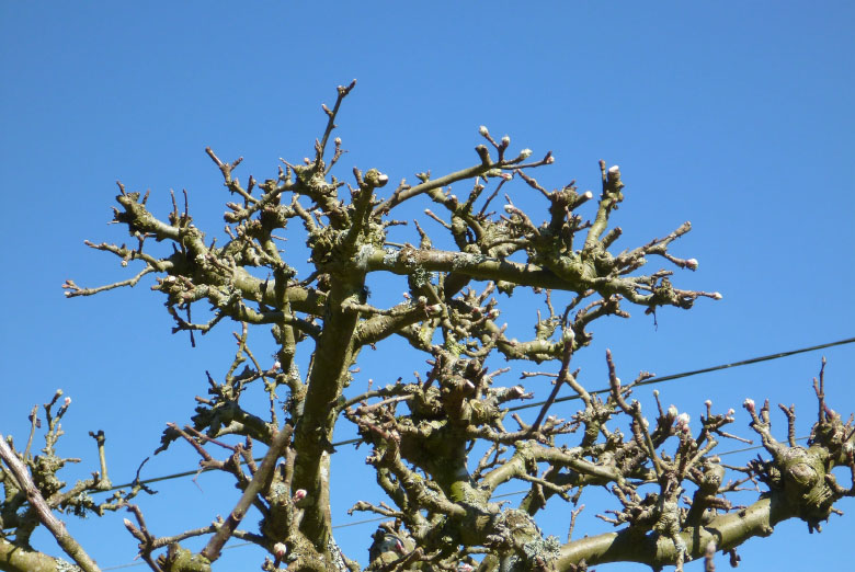         Skåneleden april 2015