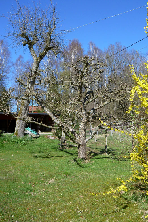         Skåneleden april 2015