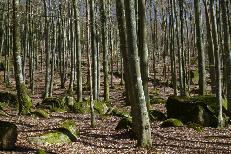        Skåneleden april 2015