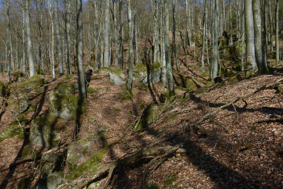         Skåneleden april 2015