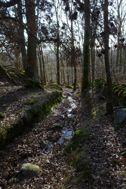         Skåneleden april 2015