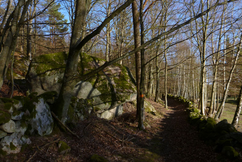         Skåneleden april 2015