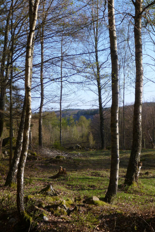         Skåneleden april 2015