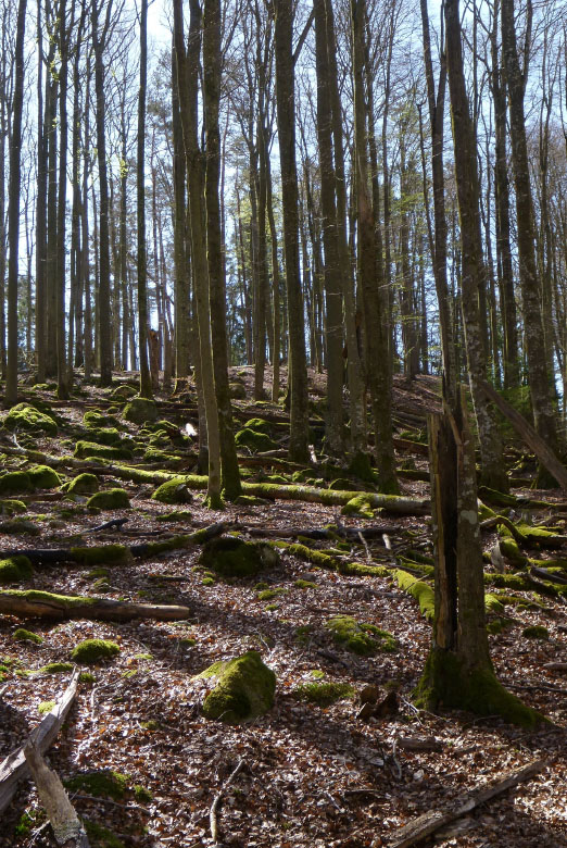         Skåneleden april 2015
