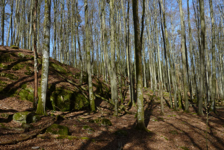         Skåneleden april 2015