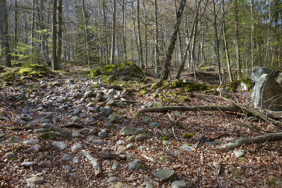         Skåneleden april 2015