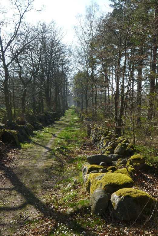         Skåneleden april 2015
