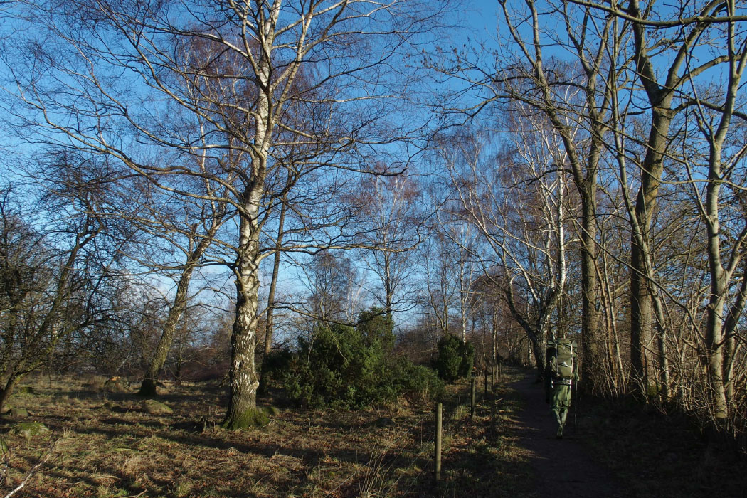 Söderåsen