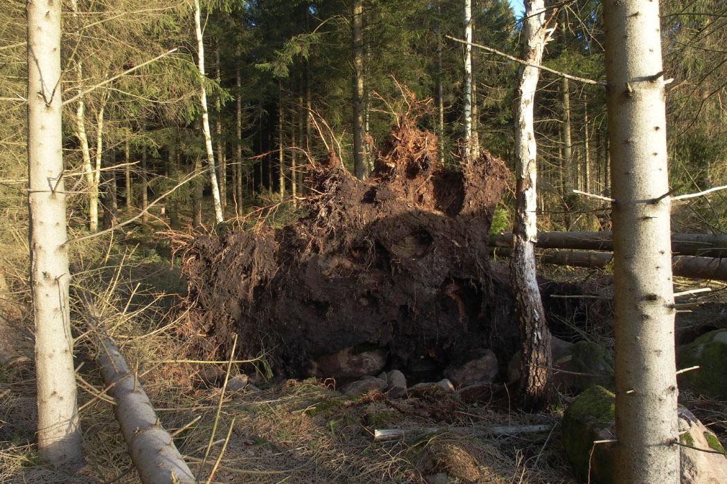 Söderåsen