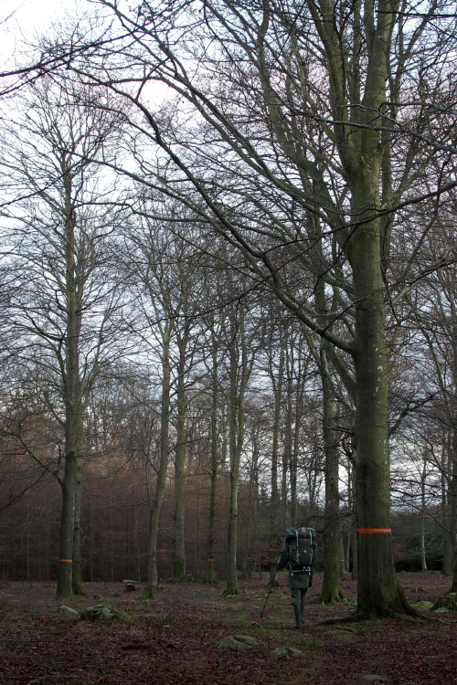 Söderåsen