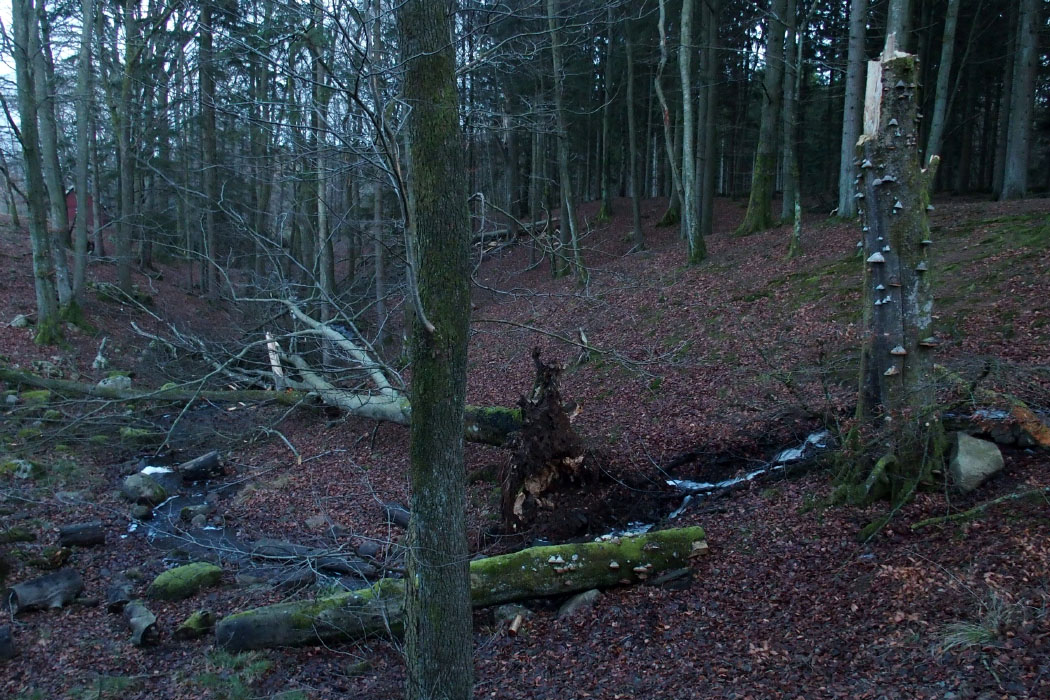 Söderåsen