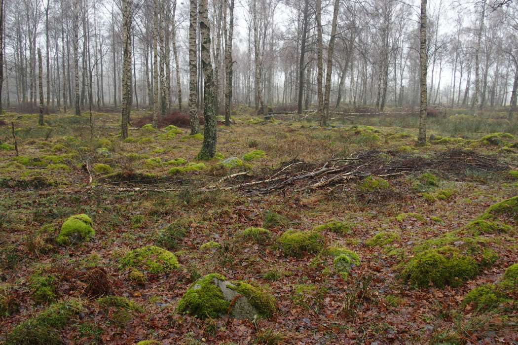 Söderåsen