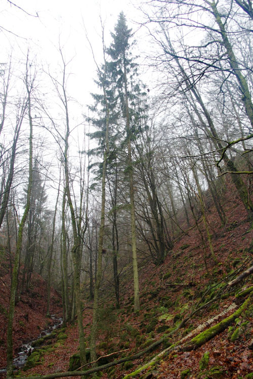 Söderåsen