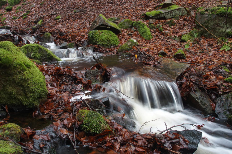 Söderåsen