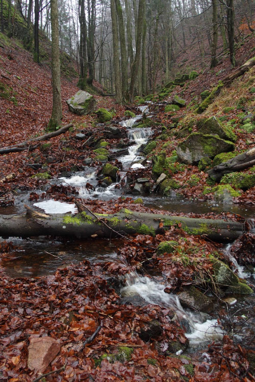 Söderåsen