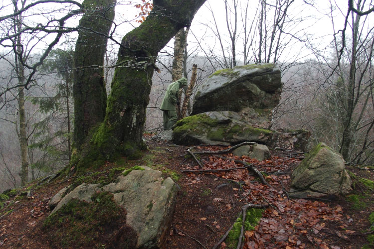 Söderåsen