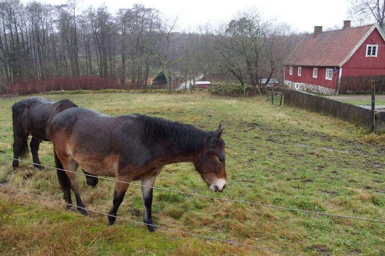 Söderåsen