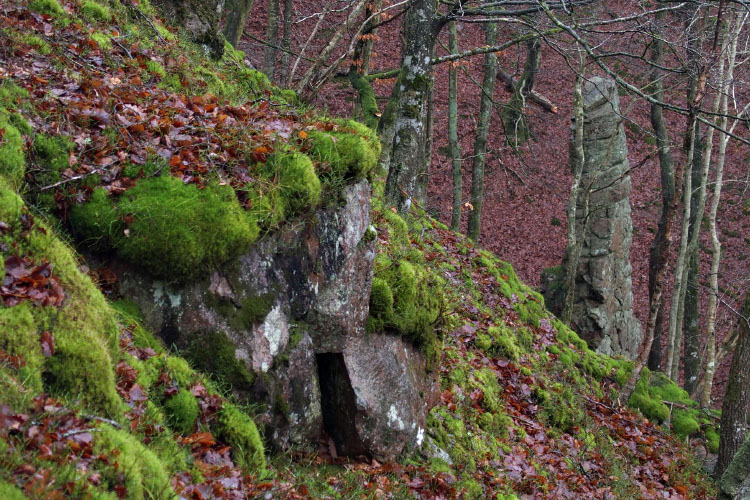 Söderåsen