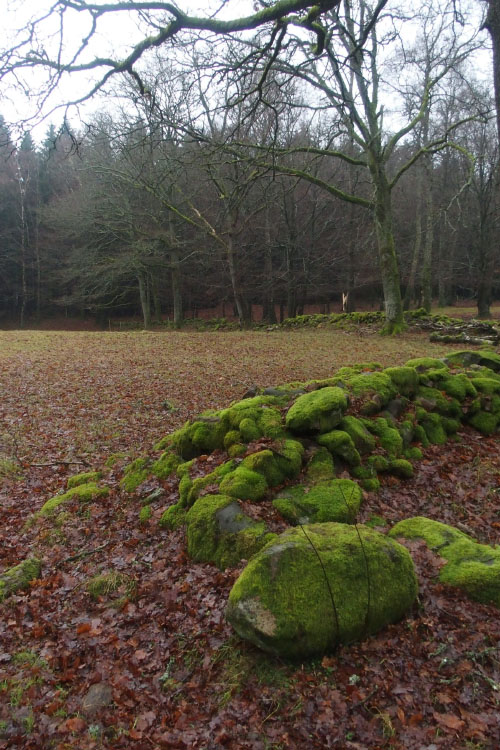 Söderåsen