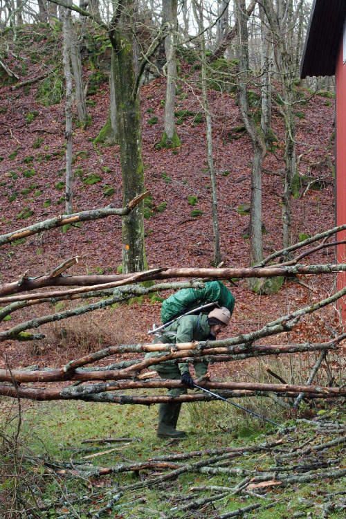 Söderåsen