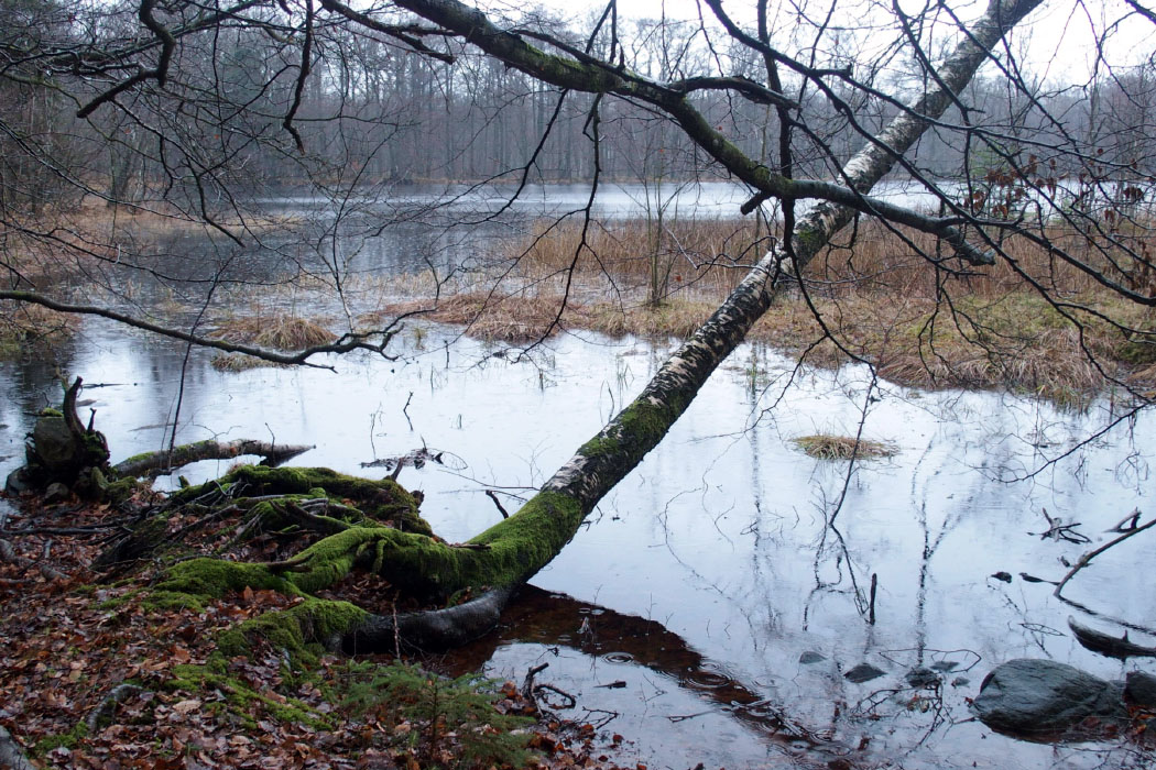 Söderåsen