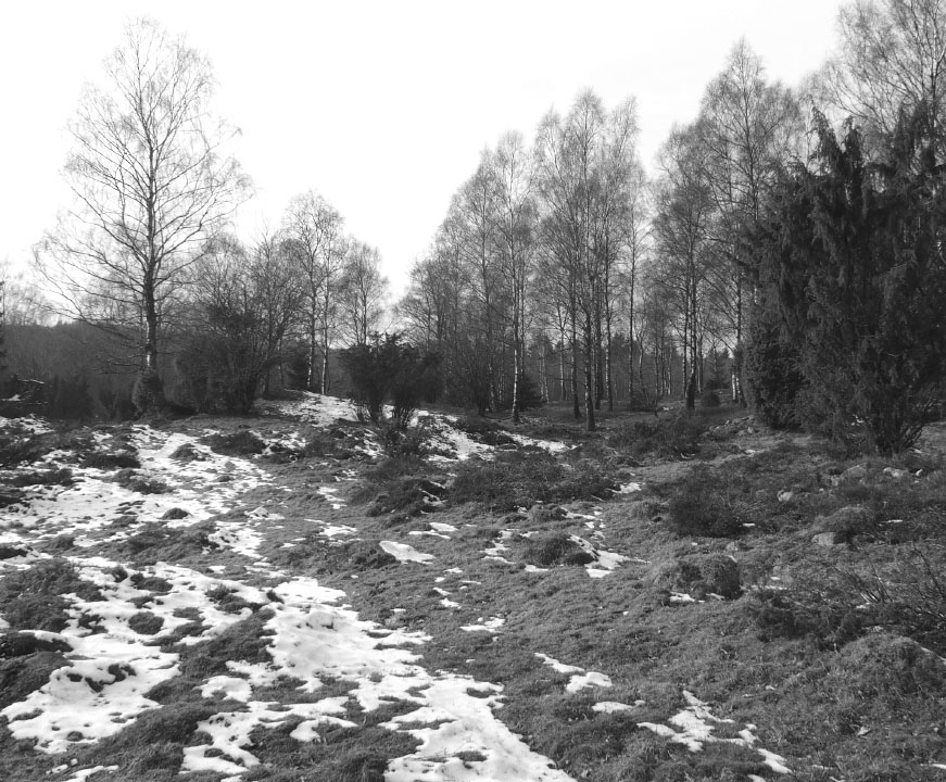 Söderåsen