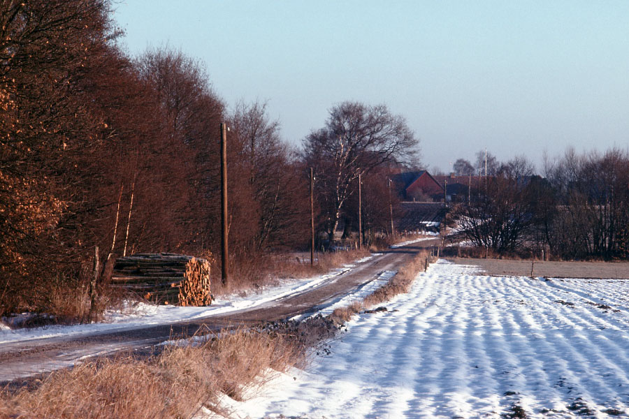 Söderåsen januar 1976