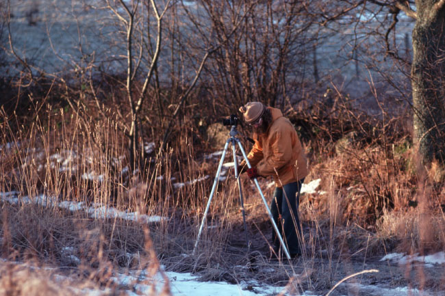 Söderåsen januar 1976