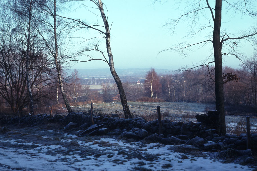 Söderåsen januar 1976