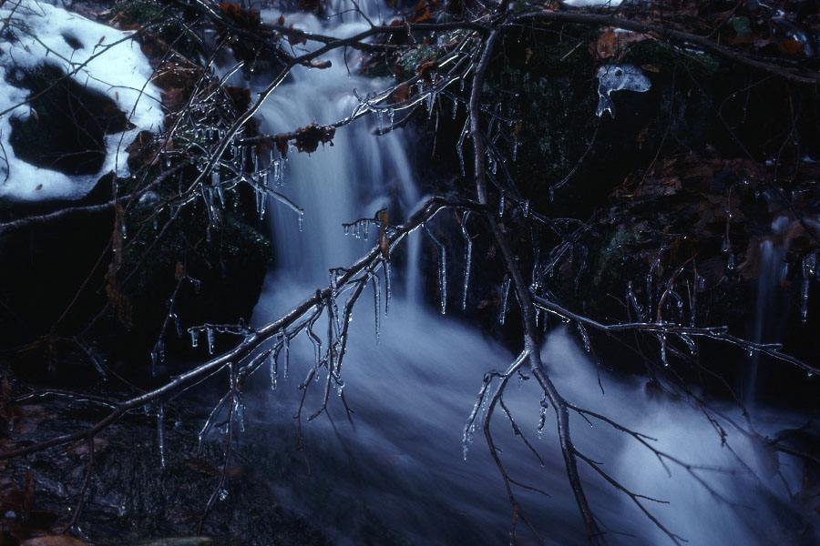 Söderåsen januar 1976