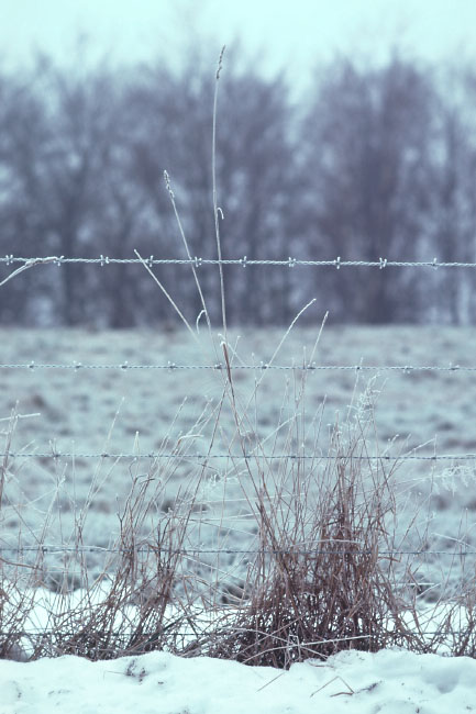 Söderåsen januar 1976