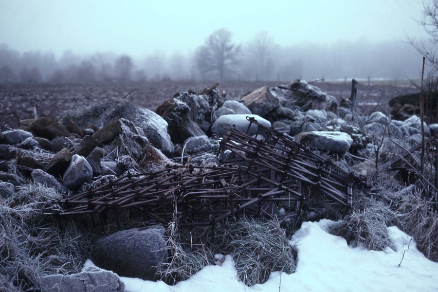 Söderåsen januar 1976