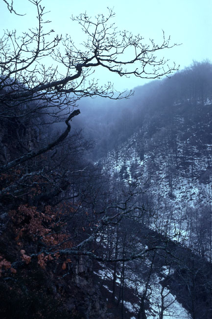 Söderåsen januar 1976
